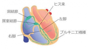 images (3)